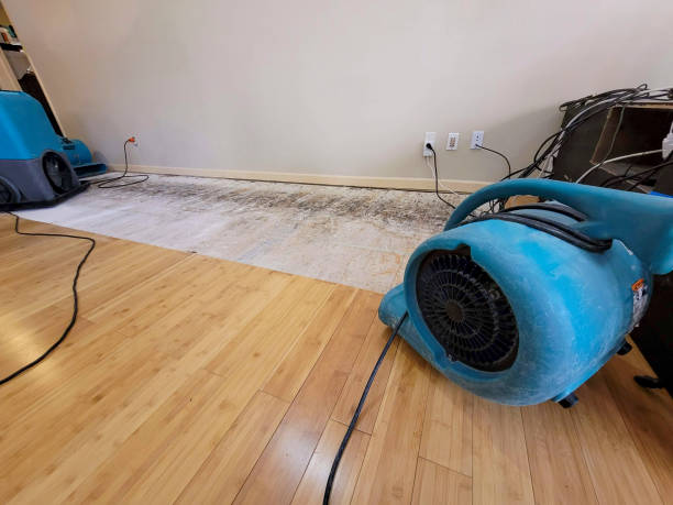 Professional Ceiling Water Damage Repair technician working in Exeter, PA